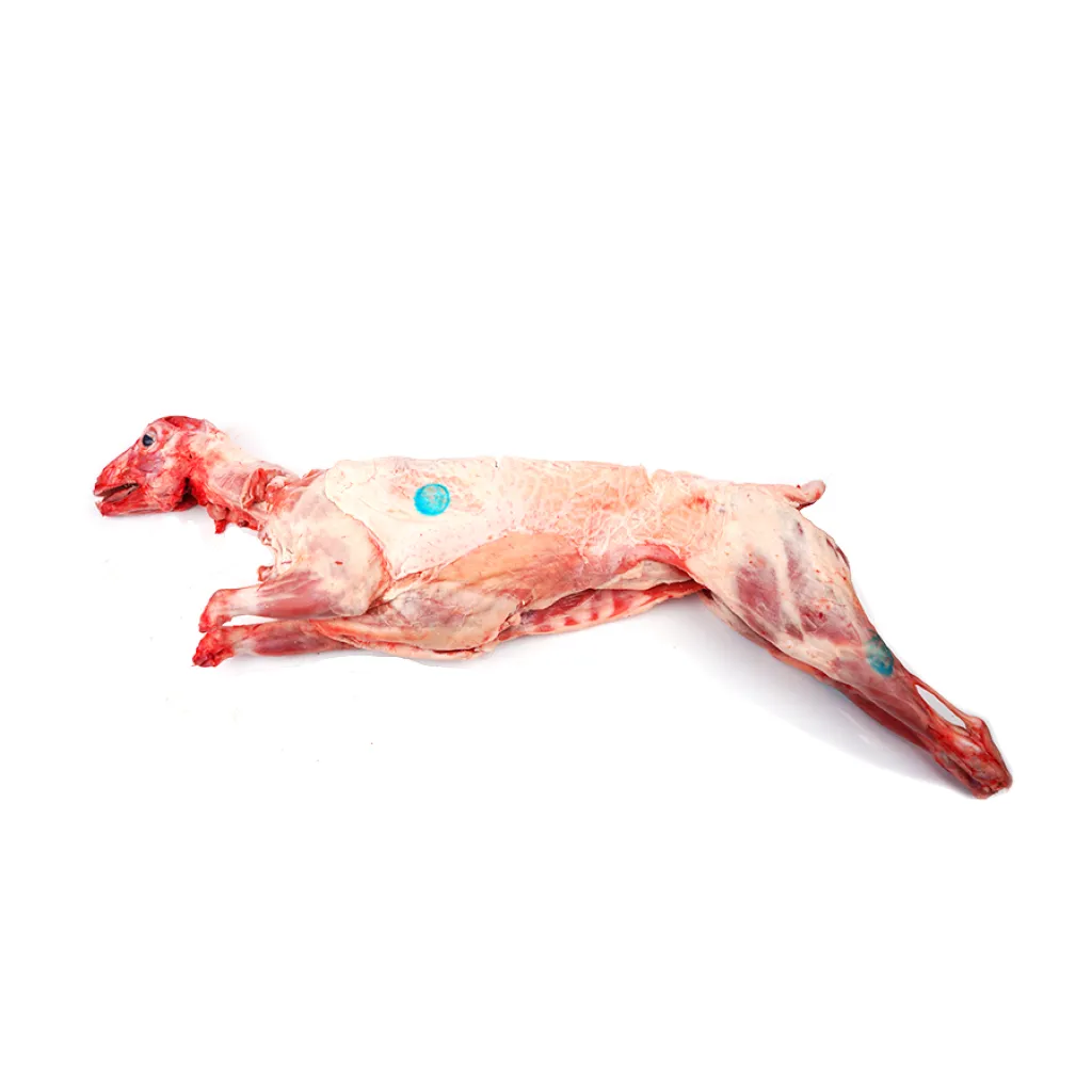 αρνι-2000x2000.webp